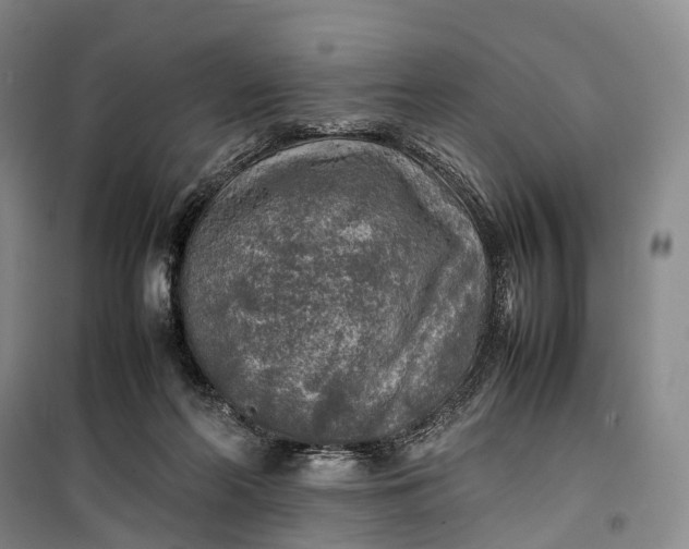 X0000100230214200806131343