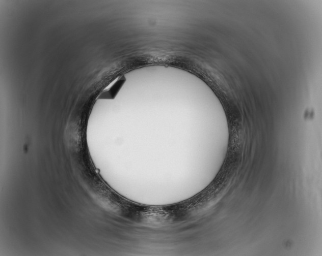 X0000100230215200806131343