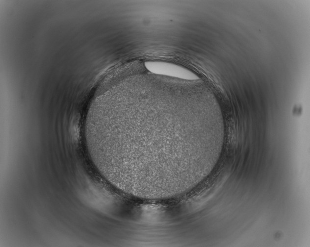 X0000100230216200806131343