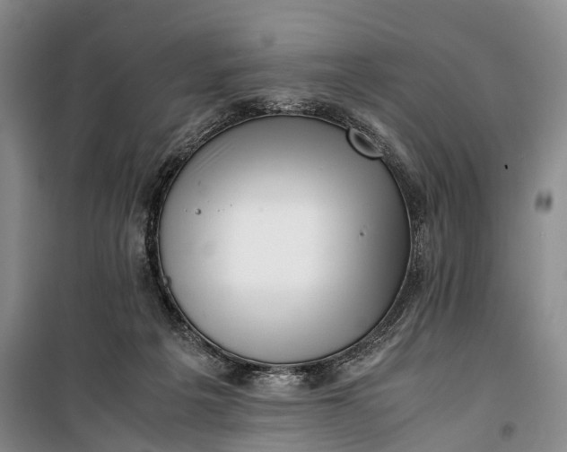 X0000100230217200806131343