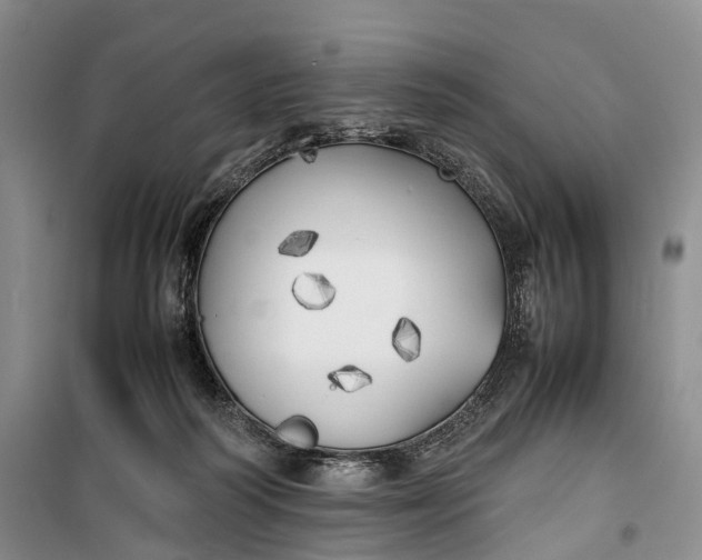 X0000100230218200806131343