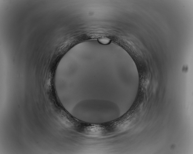 X0000100230219200806131343