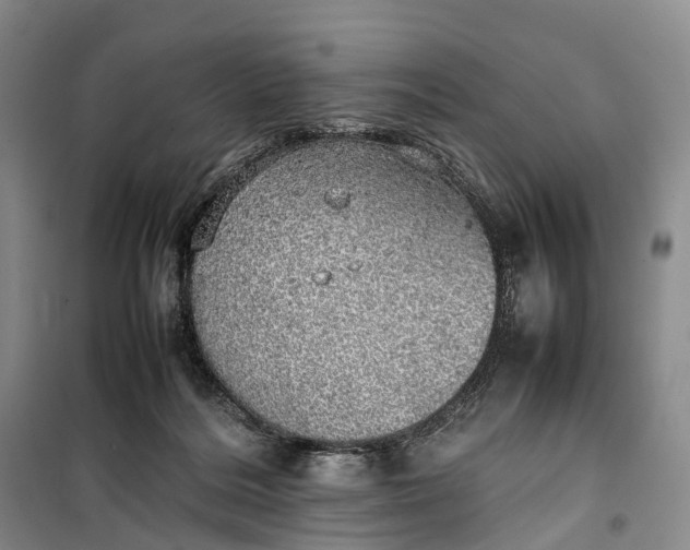 X0000100230220200806131343