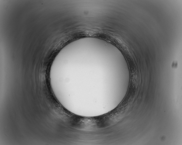 X0000100230221200806131343