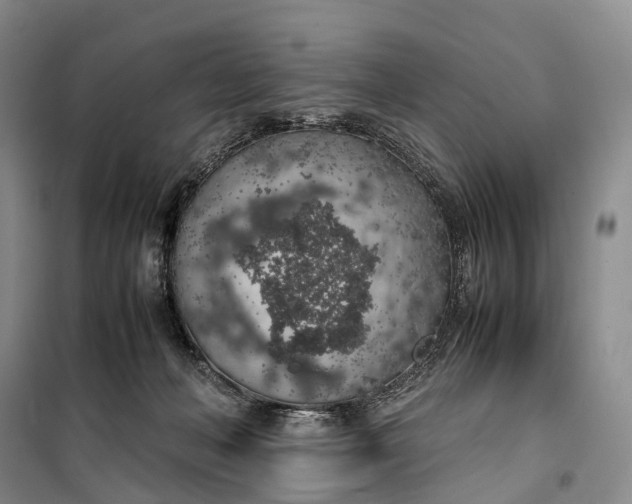 X0000100230222200806131343