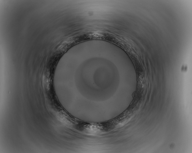 X0000100230223200806131343