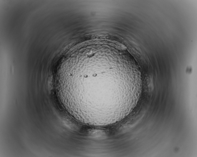 X0000100230224200806131343