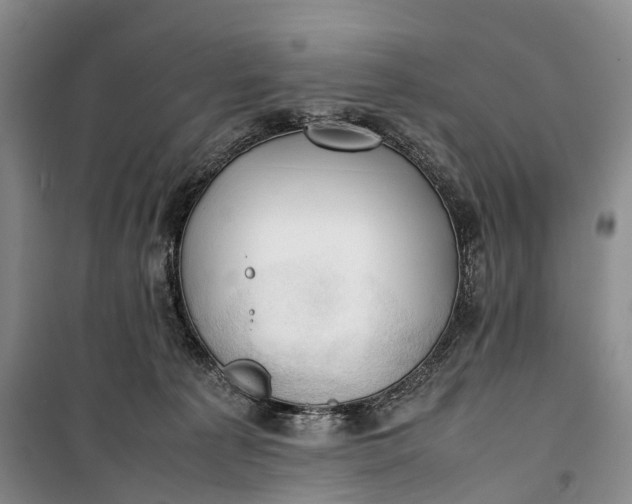 X0000100230225200806131343