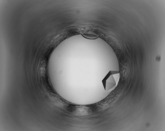 X0000100230226200806131343