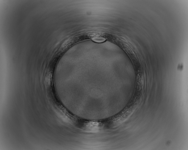 X0000100230227200806131343