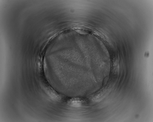 X0000100230228200806131343