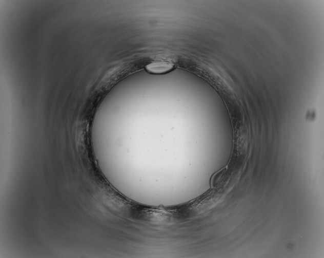 X0000100230229200806131343