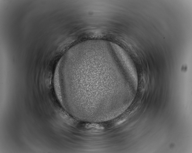 X0000100230230200806131343