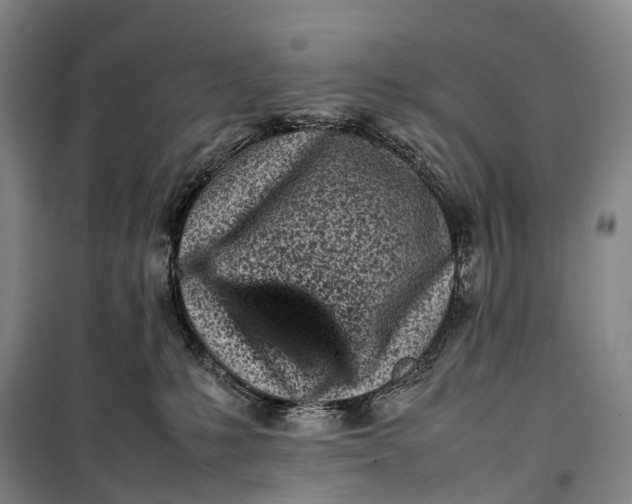 X0000100230231200806131343