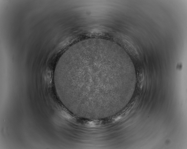 X0000100230232200806131343