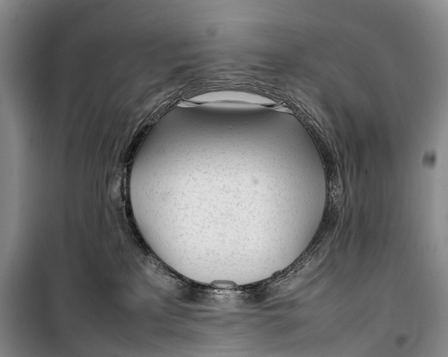 X0000100230233200806131343