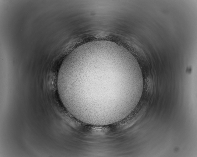 X0000100230234200806131343