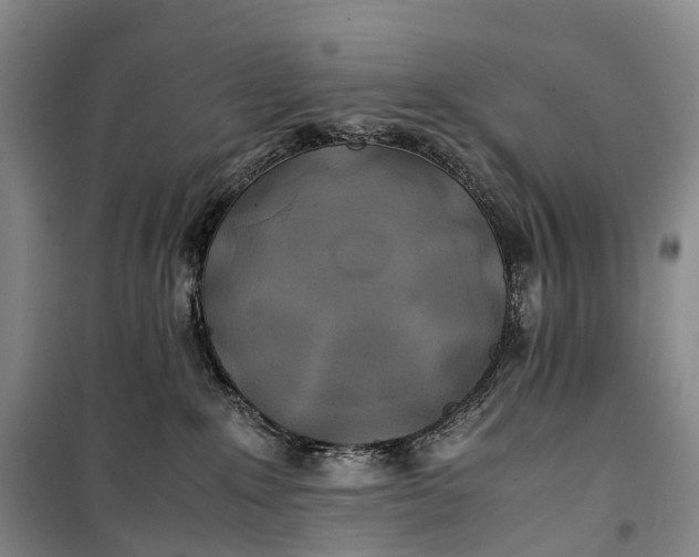 X0000100230235200806131343