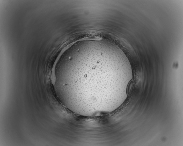 X0000100230236200806131343