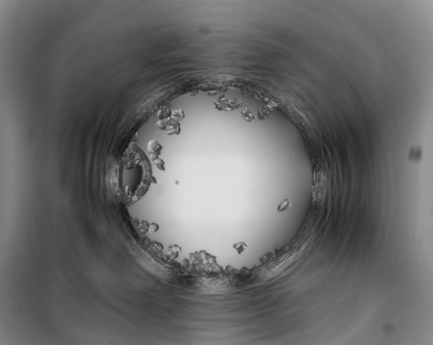 X0000100230238200806131343