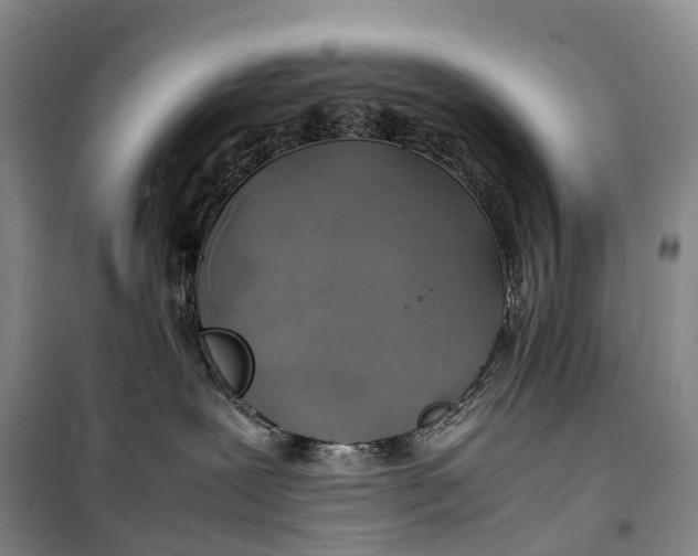 X0000100230239200806131343