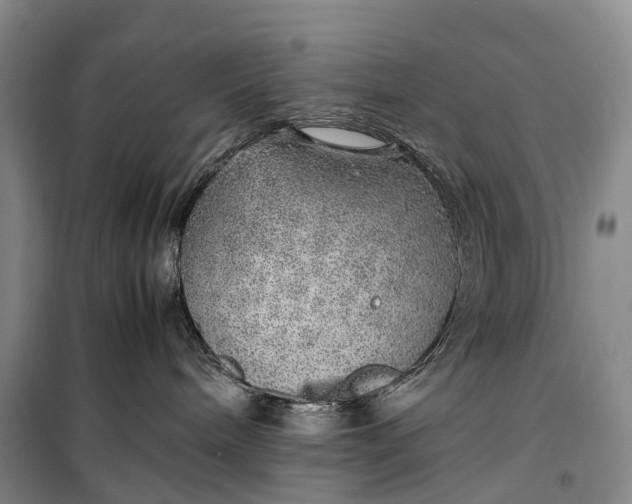 X0000100230240200806131343