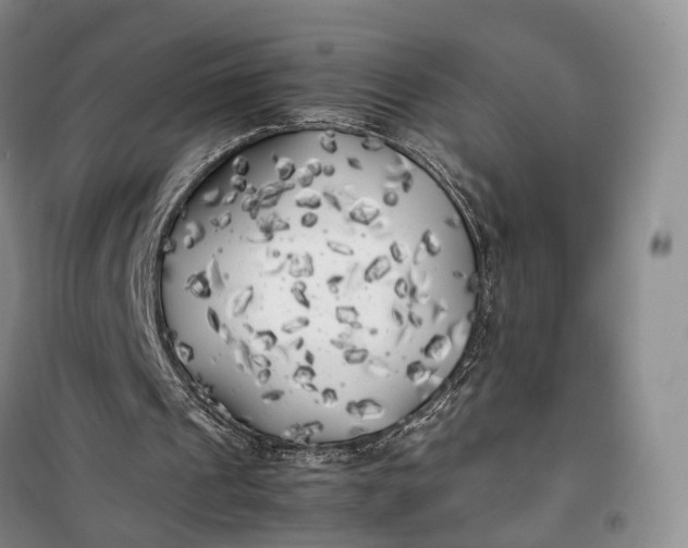 X0000100230241200806131342