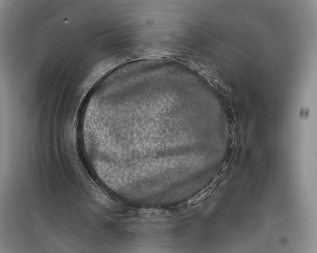 X0000100230242200806131342