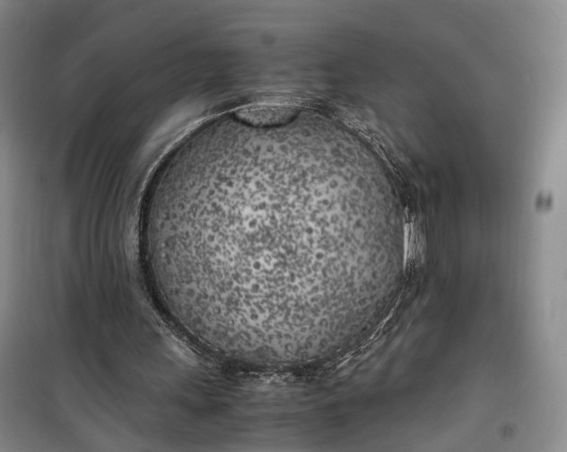 X0000100230243200806131342