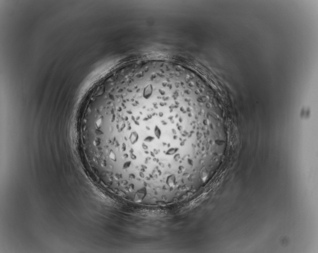 X0000100230245200806131342