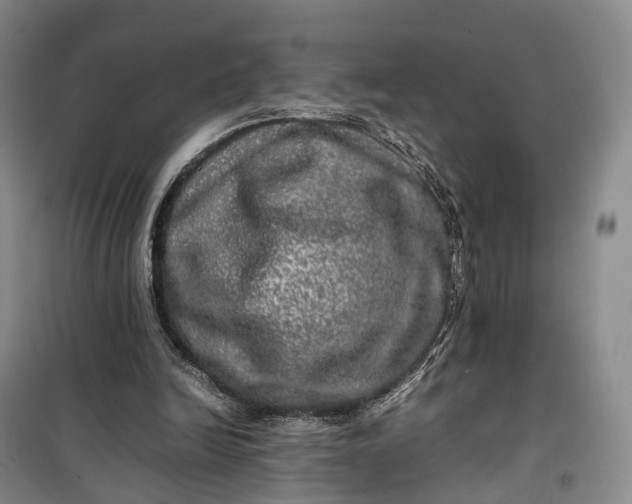 X0000100230246200806131342