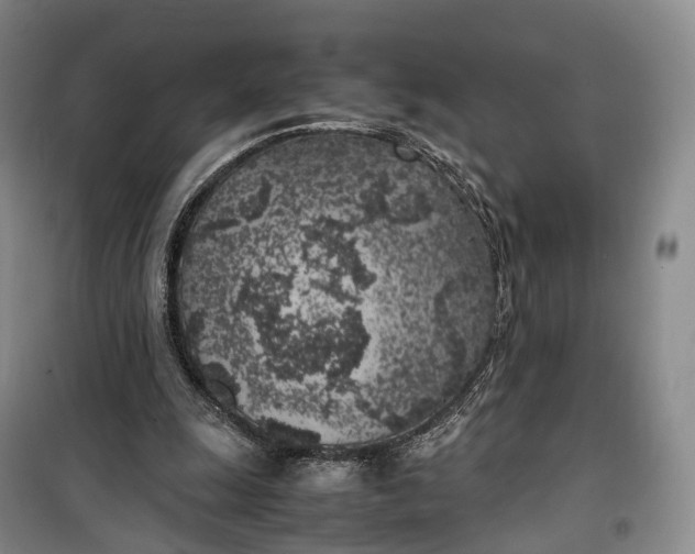 X0000100230247200806131342