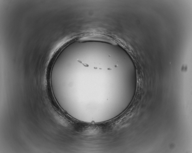 X0000100230248200806131342