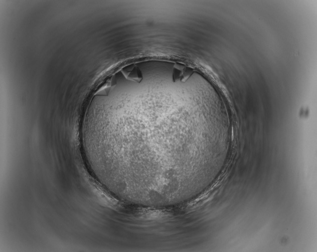 X0000100230249200806131342