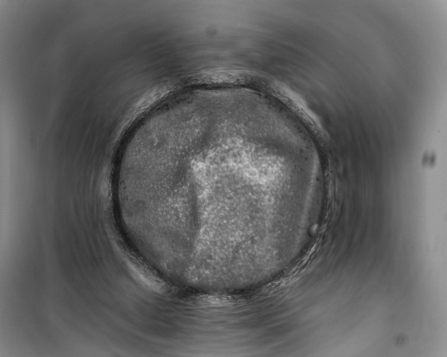 X0000100230250200806131342