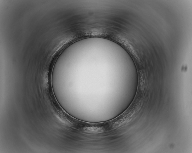 X0000100230251200806131342