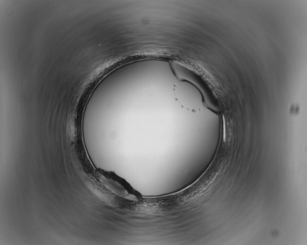 X0000100230252200806131342