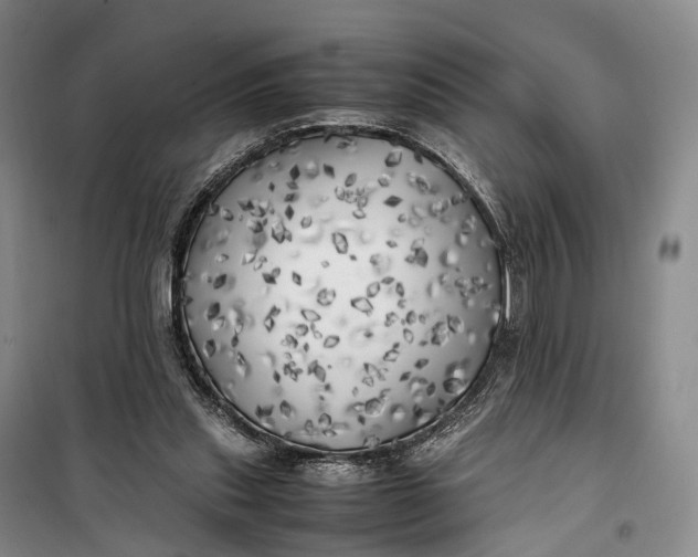 X0000100230253200806131342