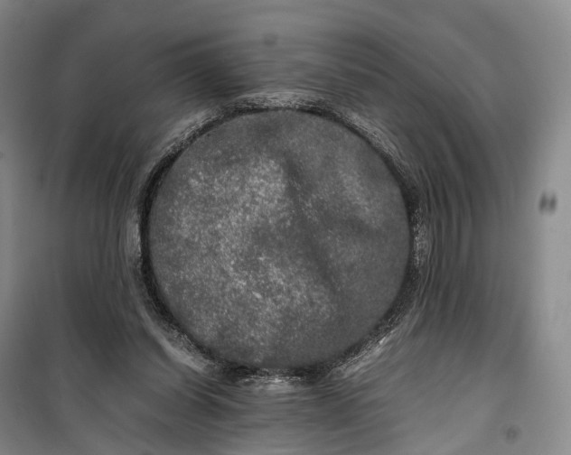 X0000100230254200806131342