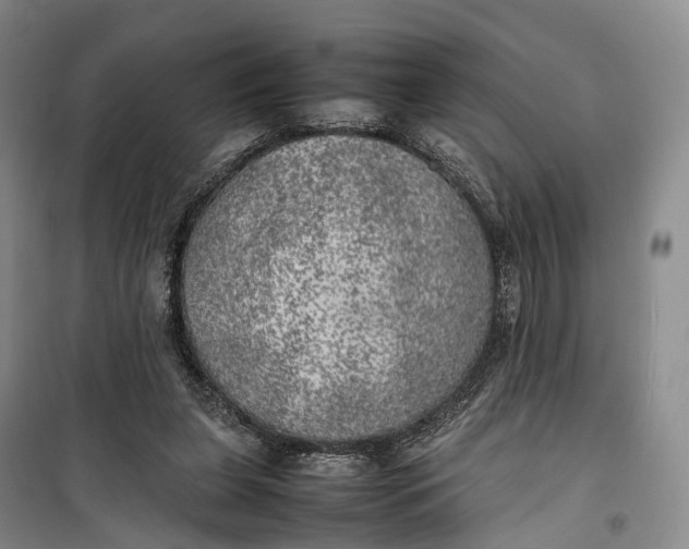 X0000100230255200806131342