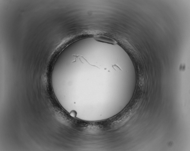 X0000100230256200806131342