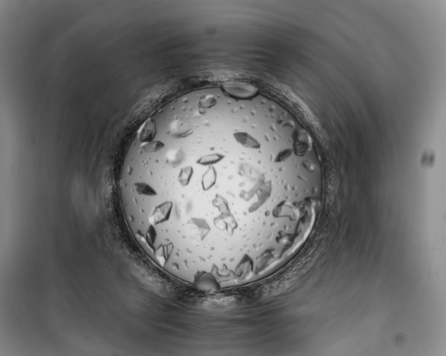 X0000100230257200806131342