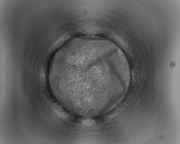 X0000100230258200806131342