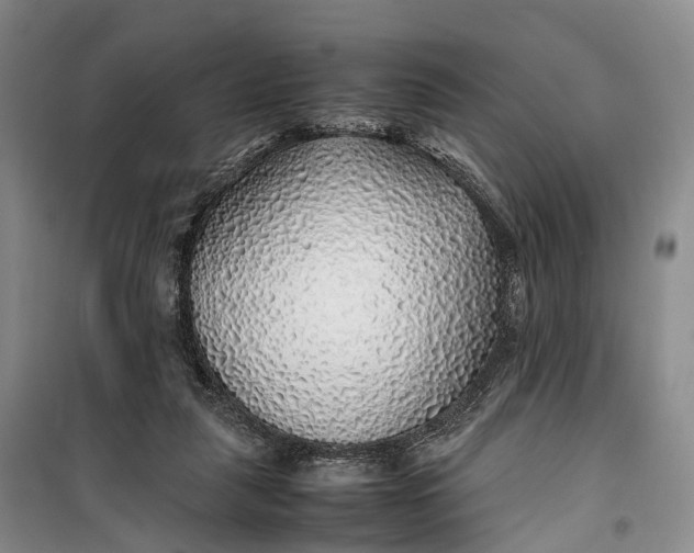 X0000100230259200806131342