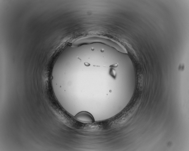 X0000100230260200806131342