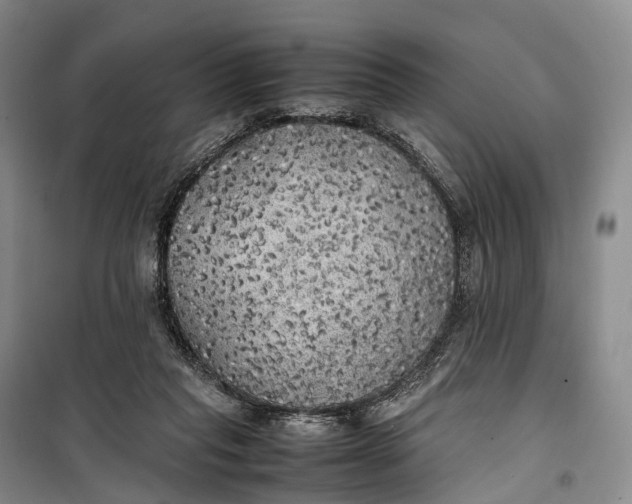 X0000100230261200806131342