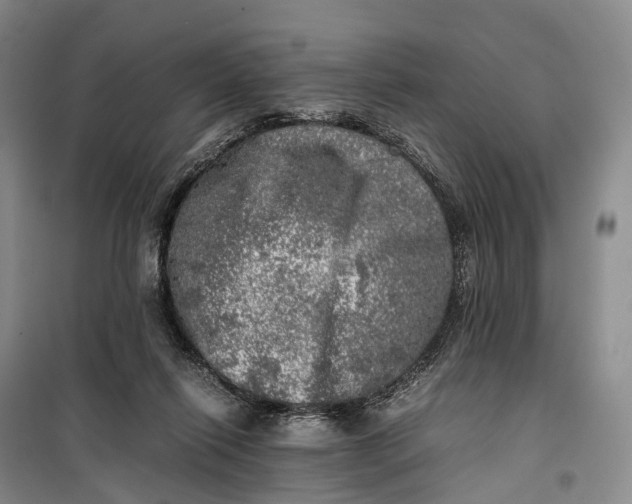 X0000100230262200806131342