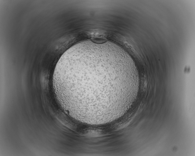 X0000100230263200806131342