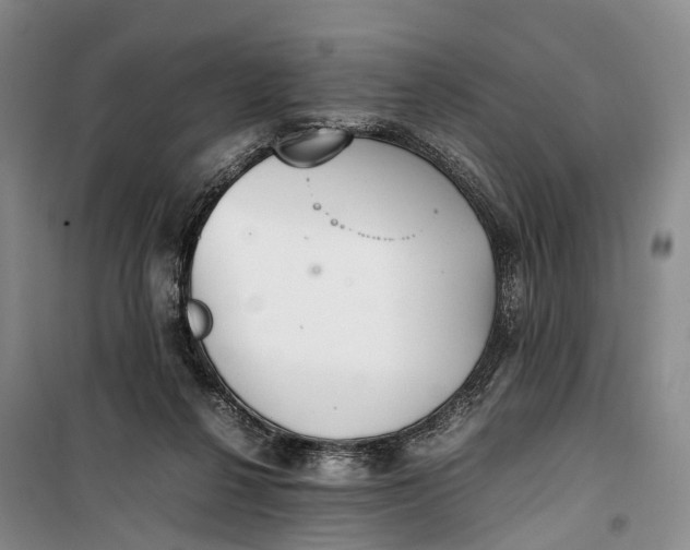 X0000100230264200806131342