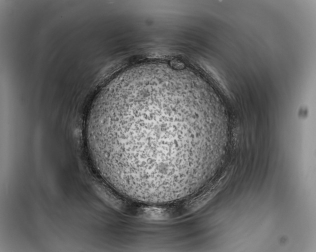 X0000100230265200806131343